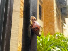 -海南清水湾莱佛士酒店