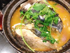 香辣鱼头煲-川香煲(茅台路店)