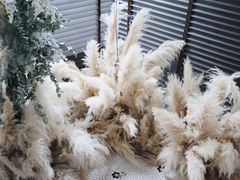 -Catail前苑(前门大街店)