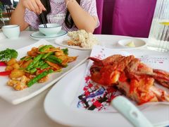 -云中小雅
