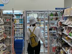 -岚山嵯峨野观光小火车