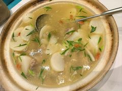 -丁老爷子苏香圆
