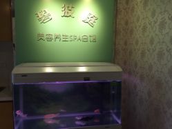 -静馨美容养生SPA会馆