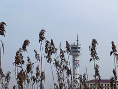 -上海吴淞炮台湾国家湿地公园