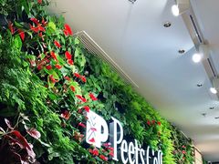 -Peet's Coffee皮爷咖啡(上海长风大悦城店)