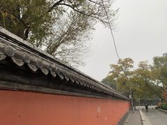 -姚记炒肝店(鼓楼店)