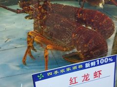 水产区-四季大酒楼(白濠店)