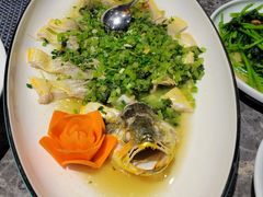 雪菜蒸海钓大黄鱼-苏先生海鲜渔庄(金桥店)