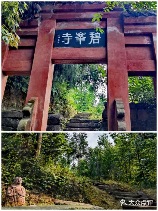 中国大熊猫保护研究中心雅安碧峰峡基地图片