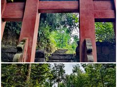 -中国大熊猫保护研究中心雅安碧峰峡基地