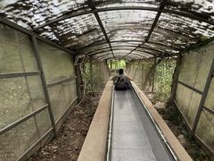 -善卷洞风景区