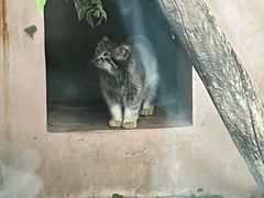 -青藏高原野生动物园
