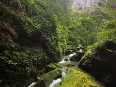 -龙水峡地缝景区