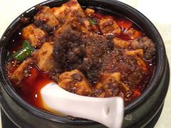 -陈麻婆豆腐总店