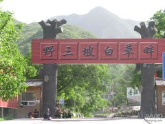 -野三坡百草畔景区