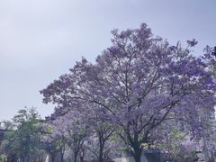 -宁远书城