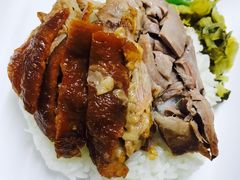 -鸡饭店