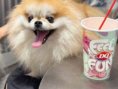 -DQ·蛋糕·冰淇淋(五角场万达店)