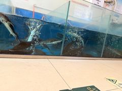 -崔记生活·铁锅炖鱼粘卷子(总店)