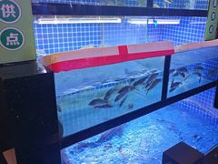 -千岛湖小鱼儿·淳安匠心农家菜