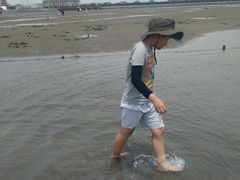 -奉贤海滩