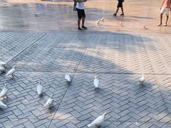 -济南方特东方神画