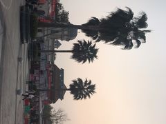 -国色天乡三期陆地乐园