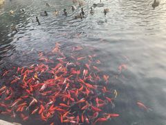 -水磨沟公园