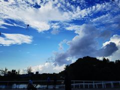 -新江湾城公园