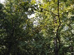-汉景帝阳陵博物院