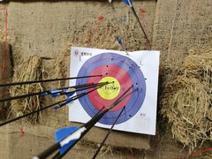 -道顺射箭·团建·骑射(张杨路店)