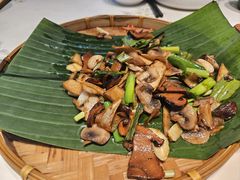 爆炒牛肝菌-云海肴·汽锅鸡·云南菜(高德置地店)