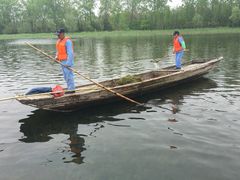 -溱湖国家湿地公园