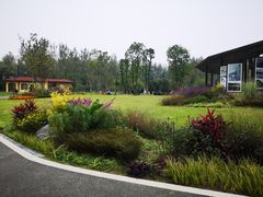 -府河摄影公园