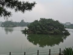 -日照海滨国家森林公园