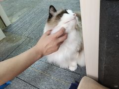 -零纪元VR体验馆·桌游(黄浦店)