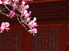 -宣南文化博物馆