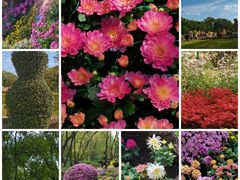 -共青国家森林公园-售票处