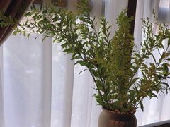 -泰合玺·精油疗愈SPA(狮山天街生活广场店)