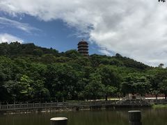 -福神岗公园