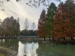 -白塘生态植物园