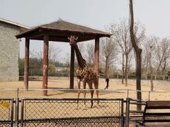 -石家庄市动物园