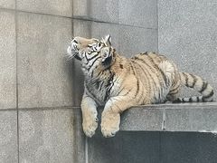 -西安秦岭野生动物园