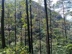 -藏龙百瀑风景区