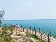 -广东惠东海龟国家级自然保护区