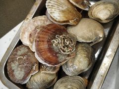 -王潮活海鲜自助·蒸汽海鲜