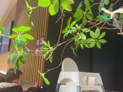 -新太二·鲜料川菜(智慧城广百店)