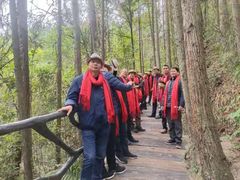 -九龙江国家森林公园