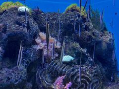 -大连老虎滩海洋公园