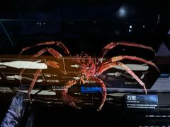 -同济大学四平路校区深海探索馆